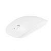 A100 2.4GHz Wireless Optical Mouse Super Slim Mini Adjustable DPI (Assorted Colors)  